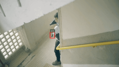 Gun Detector
